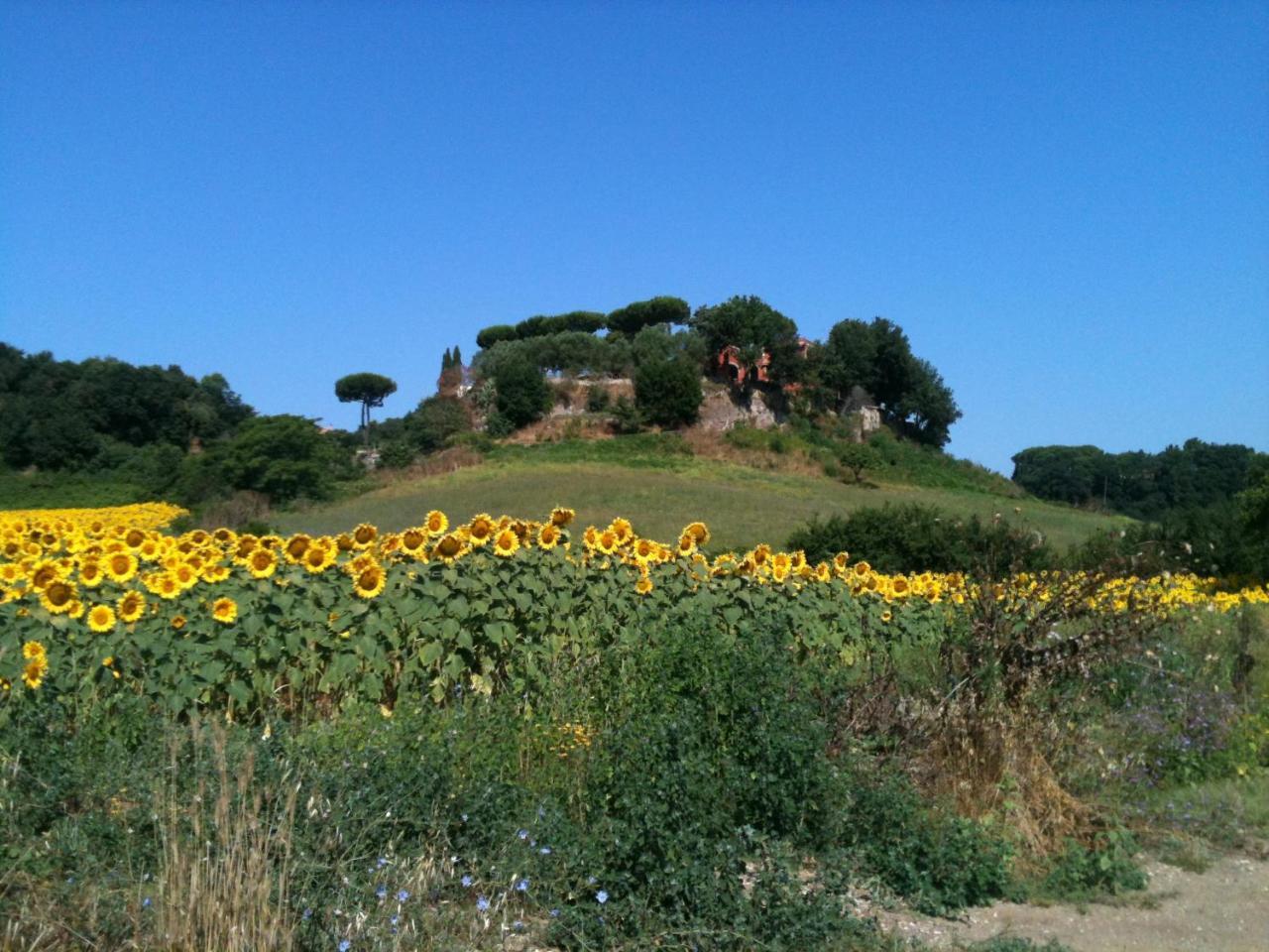 Parco Delle Nazioni - Relax Grand Resort Castel di Decima 외부 사진